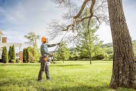 Best Tree Mulching  in Mcmurray, PA